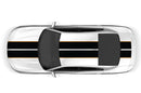 Dual stripes with pin graphics decals for Dodge Charger