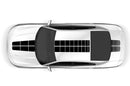 Pulse racing stripes graphics decals for Dodge Charger