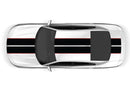 Dual stripes with pin graphics decals for Dodge Charger 