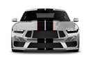 Dual rally with pinstriping graphics decals for Ford Mustang