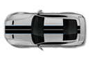 Dual rally with pinstriping graphics decals for Ford Mustang 2018-2023
