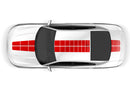 Pulse racing stripes graphics decals for Dodge Charger