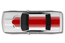 Shake down rally stripes graphics decal for Dodge Challenger 2008-2014